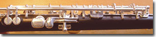 Braun piccolo with open g-sharp